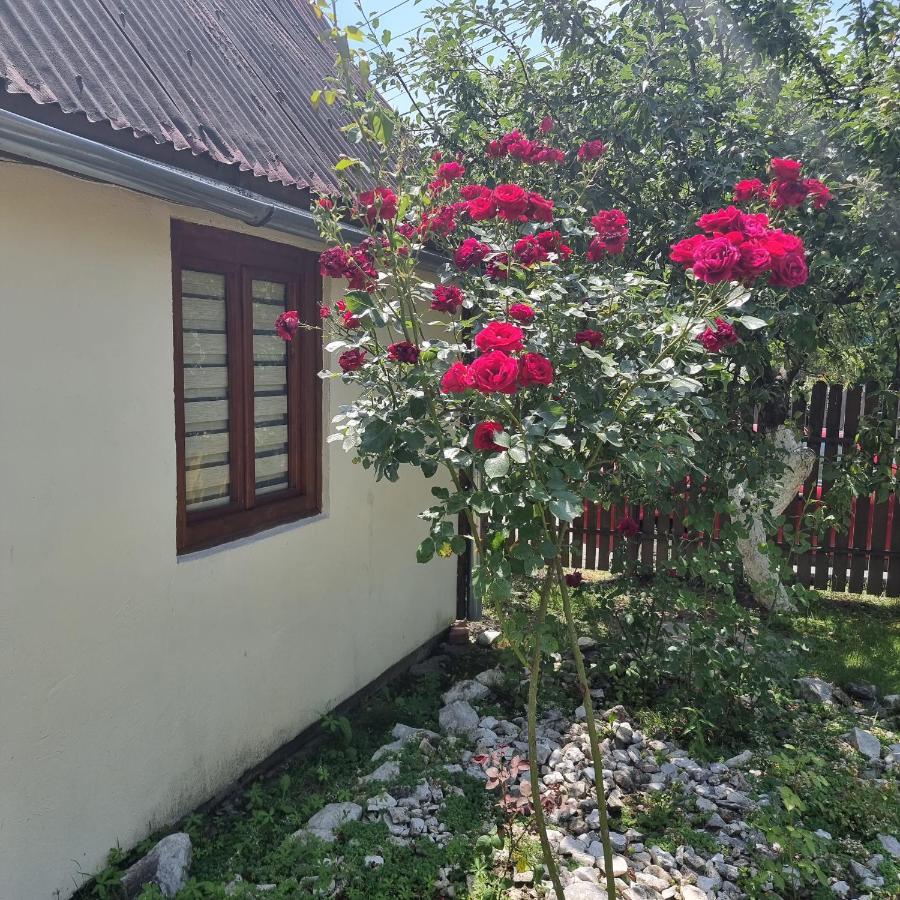 Vila Paula & Spa Sovata Εξωτερικό φωτογραφία